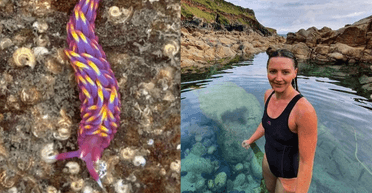 "Боже мій": жінка знайшла рідкісну райдужну морську істоту на пляжі (відео)