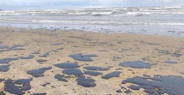 Летний сезон в Одессе может быть под риском, — биолог о последствиях выброса мазута