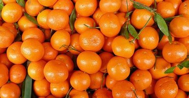 Содержание пестицидов выше нормы в 33 раза: в Украину завезли ядовитые мандарины из Египта (фото)