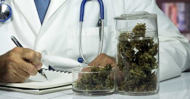 Запретный лист. К чему приведет легализация легких наркотиков