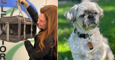 Женщина клонировала покойную собаку за $50 тысяч и теперь жалеет о своем решении (фото)