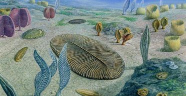 Ученые выяснили, что мы имеем гены морских чудовищ возрастом 500 млн лет