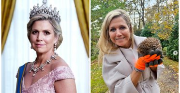 Королева Максима усиновила трьох їжаків та поселила їх у своєму саду