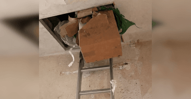 Переселенцы нашли клад в доме, купленном во Франции за 10 тысяч евро: "Стали миллионерами"