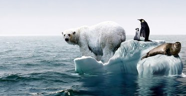 Накануне нового потопа. Как изменение климата заставит переезжать целые страны