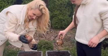 Півонії — для себе, гладіолуси — для свекрухи: Лілія Ребрик із доньками навели лад у саду (відео)