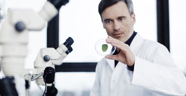 Дело на миллионы. Над чем работают украинские ученые на гранты Евросоюза