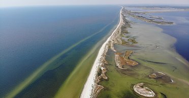 "Тревогу бьют экологи": Кинбурнская коса фактически уничтожена, — спикер ВМС (видео)