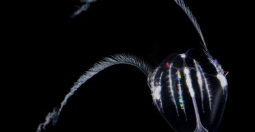 Мандрівники в часі існують: вони вміють старіти у зворотному напрямку