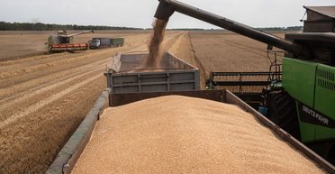 "Дуже делікатний баланс": у Євросоюзі досягли компромісу щодо торгівлі з Україною