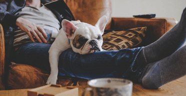 Ефективні методи боротьби з лінню: як підвищити свою продуктивність