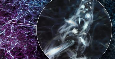 Виявлено одну з найбільших структур у Всесвіті: обертається з величезною швидкістю