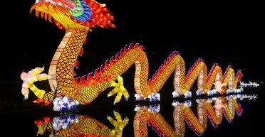 Дракон може підкинути труднощі: три знаки Зодіаку, яким варто бути обережнішими у 2024 році