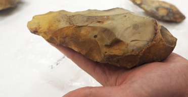 Ученые выяснили, что первые ручные топоры в Британии не были созданы Homo Sapiens