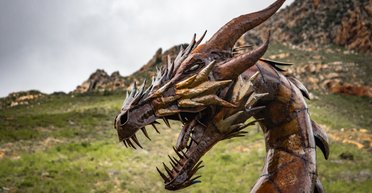 Близнюкам — неймовірне везіння, Рибам — негаразди. Гороскоп для всіх знаків Зодіаку на 2024 рік Зеленого Дракона