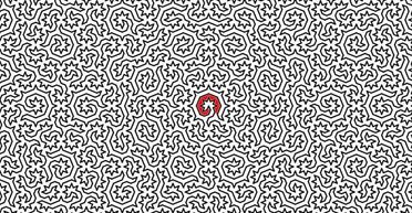 Экзотическая форма материи: физики создали самый сложный лабиринт в мире (фото)