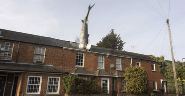 Власнику будинку з 7-метровою акулою в даху заборонили здавати його в оренду (фото)