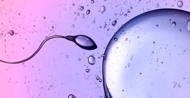 Ньютон би засмутився. Сперматозоїди порушують один із головних законів фізики: що відомо