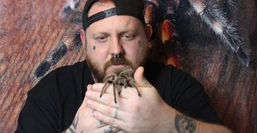 "Живут в одной комнате": мужчина держит в доме более 1000 экзотических пауков