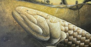 В шаге от выхода на сушу: самая странная рыба Антарктиды раскрывает ключевой этап эволюции