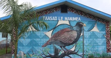 Уперше за 12 років було виявлено зникаючого родича вимерлого птаха додо (фото)