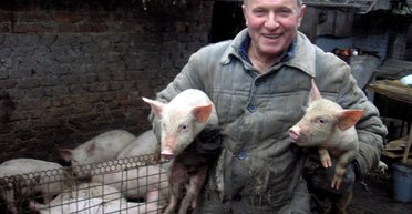 Менше хліба в 2024 році. Чому агрокомпанії переходять на виробництво м`яса та як це вплине на ціни