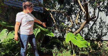 Семья в Новом Орлеане нашла на заднем дворе надгробную плиту римского моряка (фото)