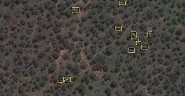 "Приводим примеры": исследователи учат нейросеть считать слонов со спутника