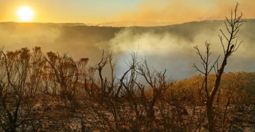 Ситуація погіршується: континенти швидко втрачають воду і це підвищує рівень світового океану