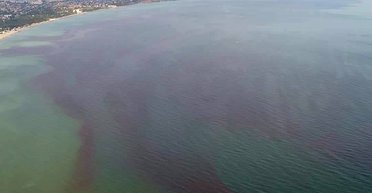 Днем — красное, ночью — голубое: Черное море изменило свой цвет, к чему это может привести (фото)