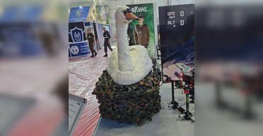 В Польше показали "боевого лебедя": что известно о необычном дроне Kaczka (фото)