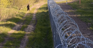 Четвероногий нелегал: медведь пытался взять штурмом границу Литвы с Беларусью (видео)