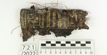 На полуострове Вестерплатте обнаружили находки времен Второй мировой войны (фото)