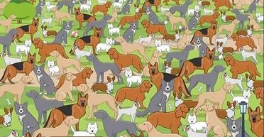 Интеллектуальный тест: только гении за 11 секунд смогут найти щенка (фото)