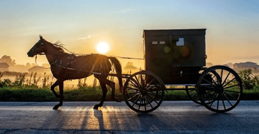 Американка вкрала у сім'ї візок із конем, припаркований біля супермаркету (скриншот)