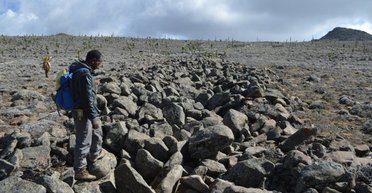 Ученые выдвинули причину образования "тигровых полос" по всей Эфиопии (фото)