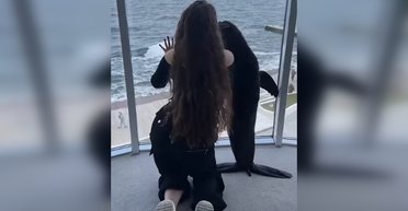 Котики и Европа. Почему важно отреагировать на издевательство над животными в дельфинарии