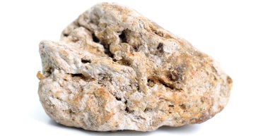 В Йемене обнаружили  китовую "рвоту" стоимостью 1,5 миллиона долларов