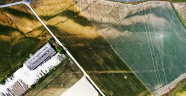 Основное развлечение публики: археологи сделали неожиданное открытие в древнеримском городе