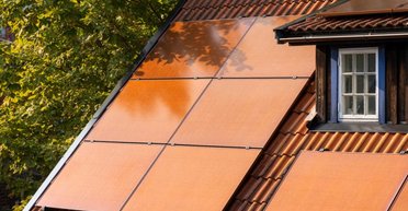 Солнечные панели "натерли" красным луком: зачем ученые это сделали и что это дало