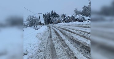 Метр снега и ураган: на Балканах 100 тысяч домов без света из-за снежной бури (фото)