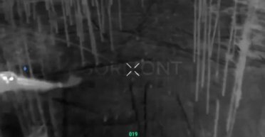 Сова сбила российски дрон в Донецкой области (видео)