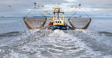 Очень опасный улов: рыболовы случайно выгребают химическое оружие со дна океана