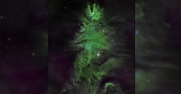 NASA показало новорічну космічну ялинку: сяє вогнями на відстані 2500 св. років (фото)