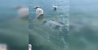 В Черном море затонуло российское судно: на борту 200 литров топлива (видео)