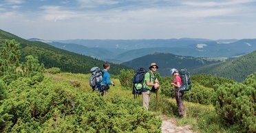 Тренды: Украинцы будут еще больше путешествовать по своей стране