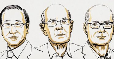 Нобелівська премія з хімії 2025: її отримали вчені за матеріал із "Гаррі Поттера"