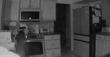 "Любопытный" щенок устроил пожар в доме, случайно включив плиту посреди ночи (видео)