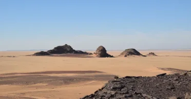 Доказательство существования "зеленой Сахары": ученые нашли наскальные рисунки возрастом 4 тысячи лет (фото)