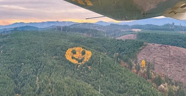 Самый улыбчивый лес на планете: кто разместил на верхушке 90-метровый смайл (видео)